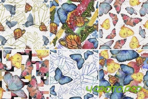 Miracle of nature butterflies - 4246030