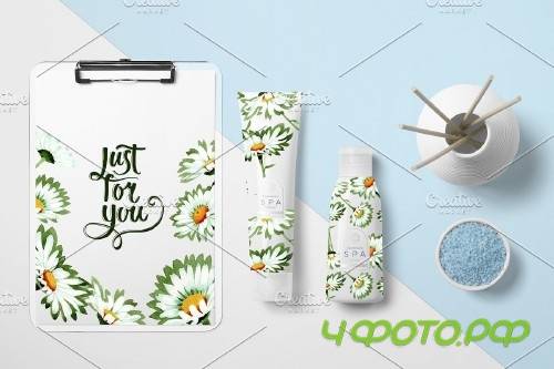 Watercolor daisy white flower png - 4214174