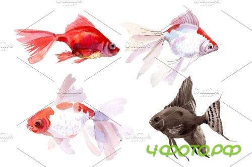 Fairytale Red Goldfish Watercolor - 4224345
