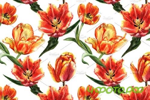 Tulip red PNG watercolor flower set - 4230147