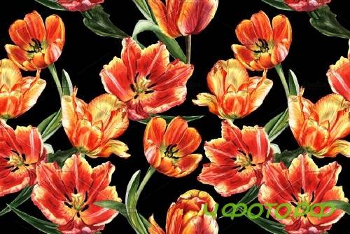 Tulip red PNG watercolor flower set - 4230147