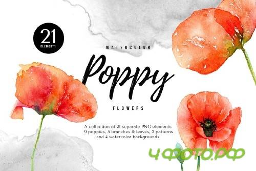 Watercolor Red Poppy Flowers - 4172505
