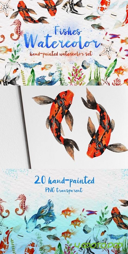 Beautiful Fishes Watercolor Set