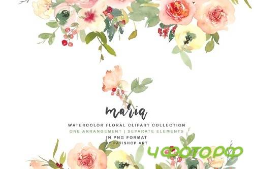 Pink Blush Watercolor Floral Clipart Collection - 386652