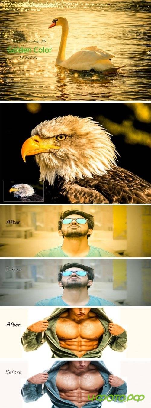 Golden Color Effect - Ps Action