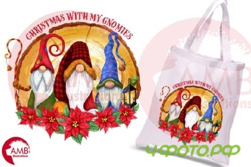 Christmas with My Gnomies, Gnome AMB2685