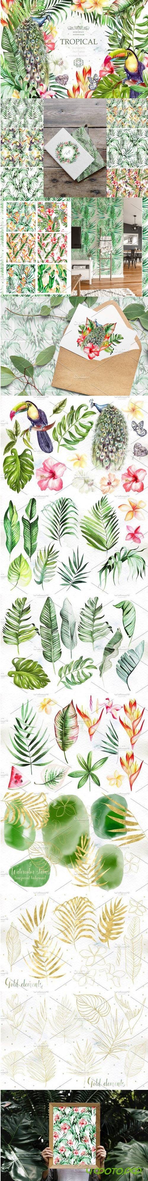 Hand Drawn Watercolor Tropic 4 - 4336115