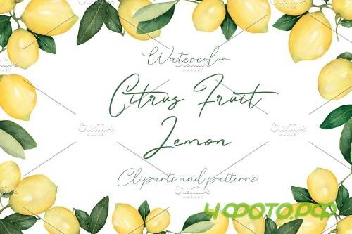 Watercolor Citrus Fruit Lemon - 3739806
