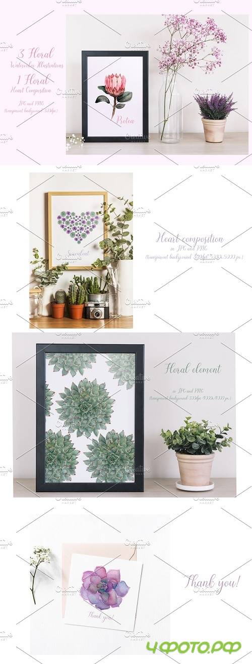 Watercolor floral illustrations - 3696597