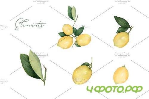 Watercolor Citrus Fruit Lemon - 3739806