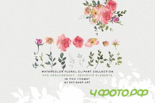 Blush Red Watercolor Peony Clipart Collection
