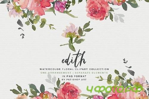 Blush Red Watercolor Peony Clipart Collection