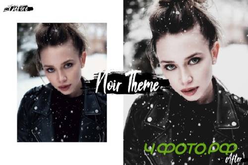 05 Noir Theme Photoshop Actions, ACR