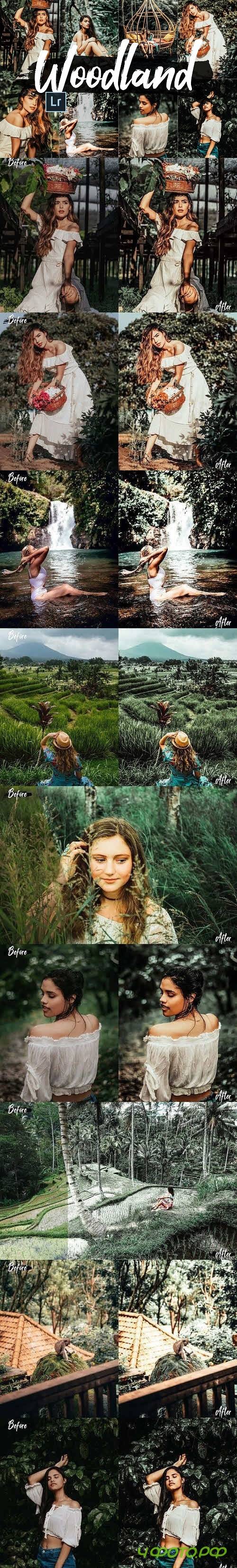 05 Woodland Lightroom Presets and ACR preset, forest moody - 423652 - 2542463