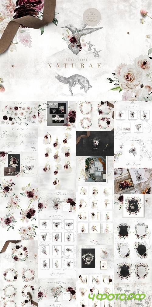Naturae - Sublime Fine Art - 2487997