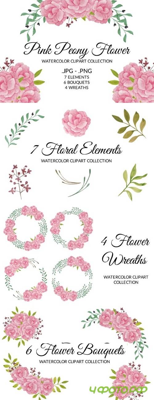 Pink Peony Flower Watercolor Clipart Set