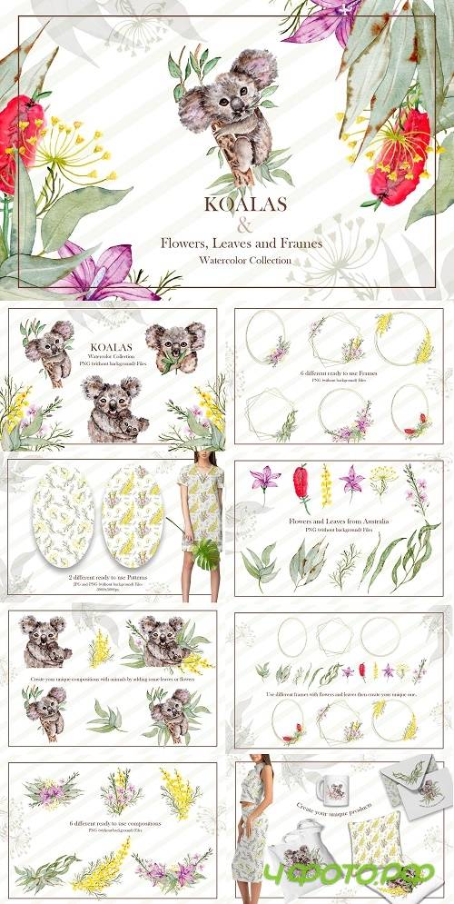 Watercolor Koala Collection - 4553494