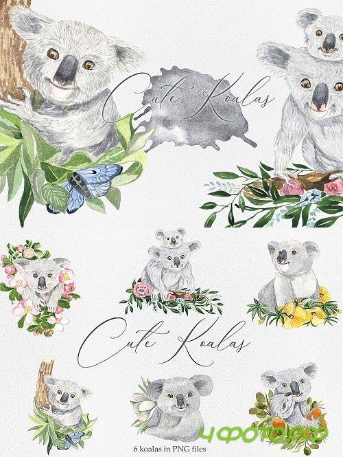 Koala  - 447336