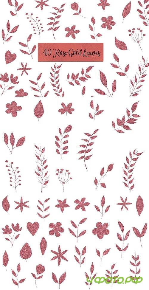 Rose Gold Leaves Clipart - 4574291