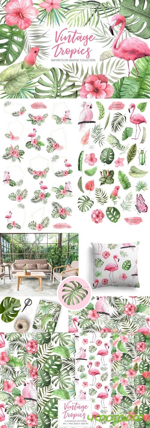 Watercolor Vintage Tropical Set - 2683150 Watercolor Vintage Tropical Set - 2683150
