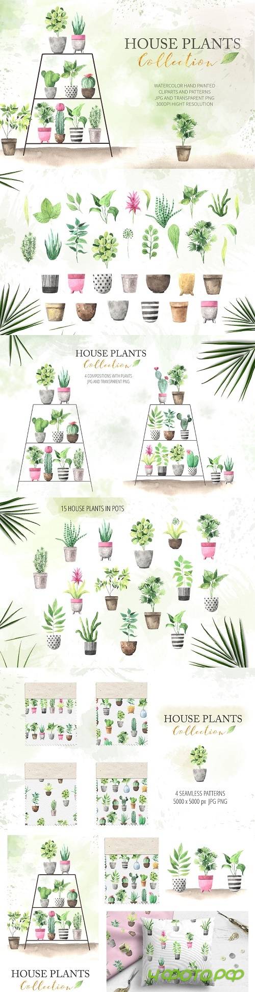 Watercolor House Plants Collection - 3479890