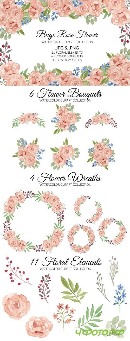 Beige Rose Flower Watercolor Clipart Collection - 515135