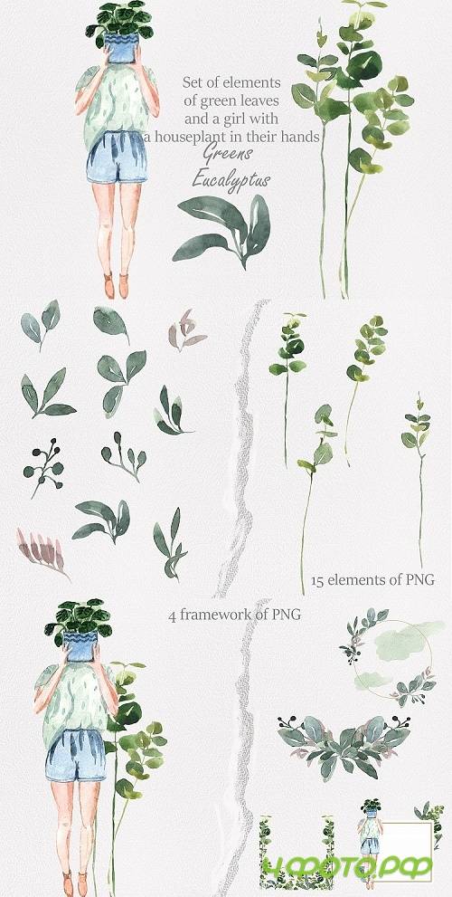Spring greens - 505964
