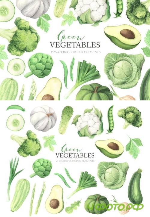 Watercolor Green Vegetables Clipart