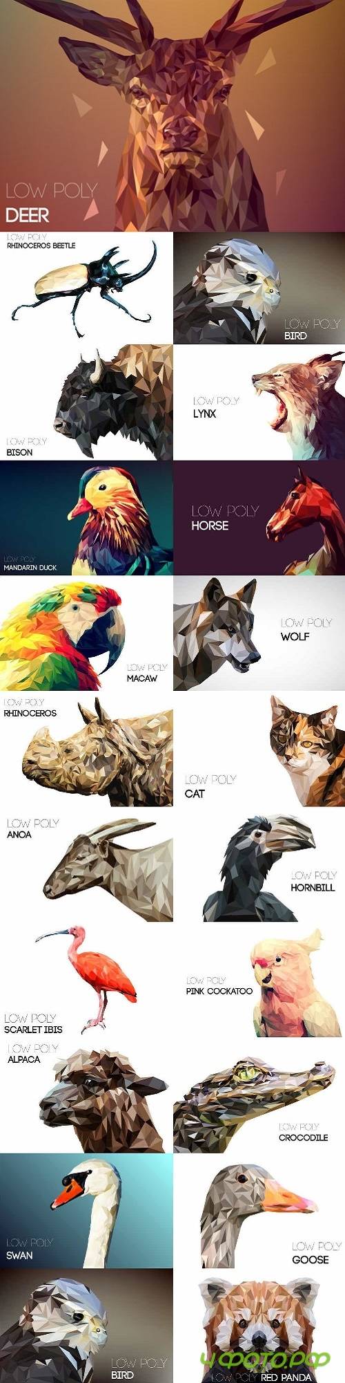 Mega Set Low Poly Animals