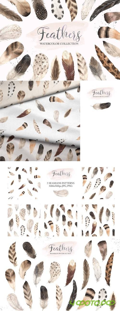 Watercolor Delicate Feathers Set - 3633652