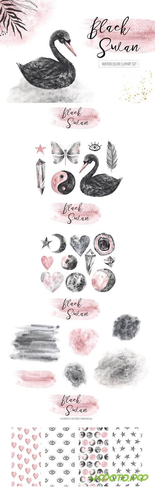 Watercolor Black Swan Set - 3075615