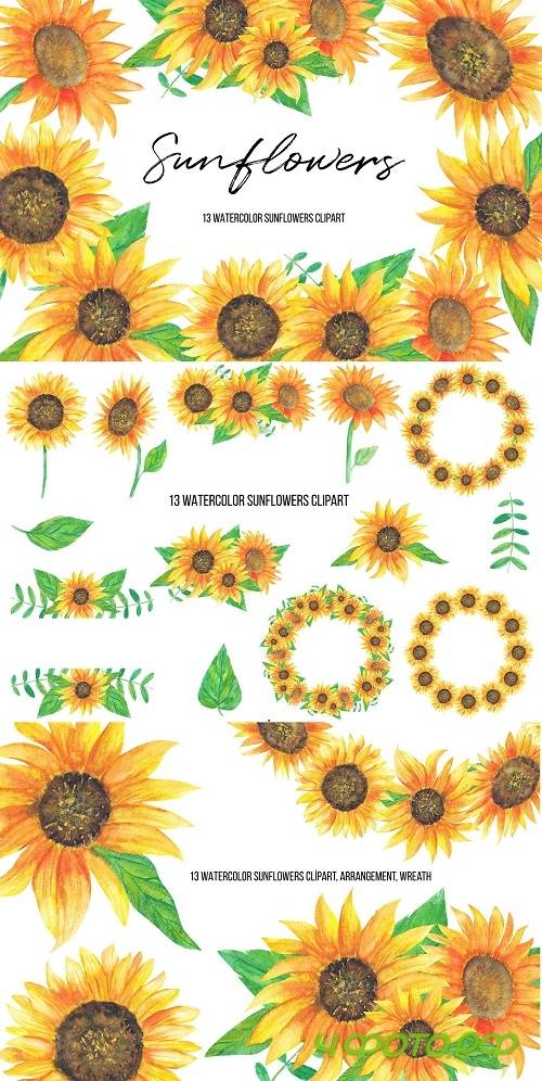Watercolor Sunflowers Clipart - 4696533