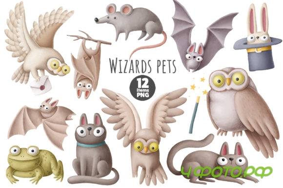 Wizards Pets