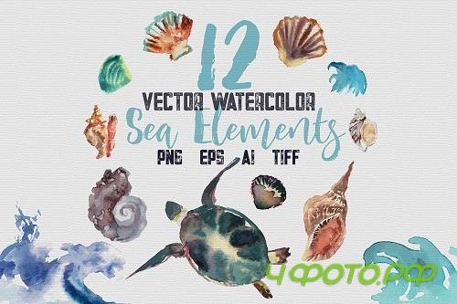 12 Vector Watecolor Clipart Sea Elements, png, tiff, ai, eps  - 517266