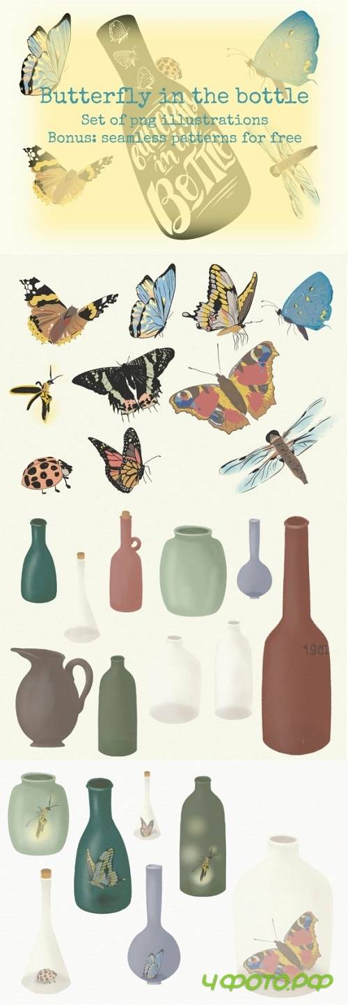 Butterfly in the Bottle: 20+ Images