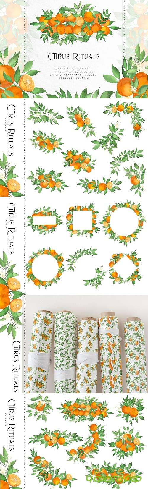 Citrus Rituals - 4575798