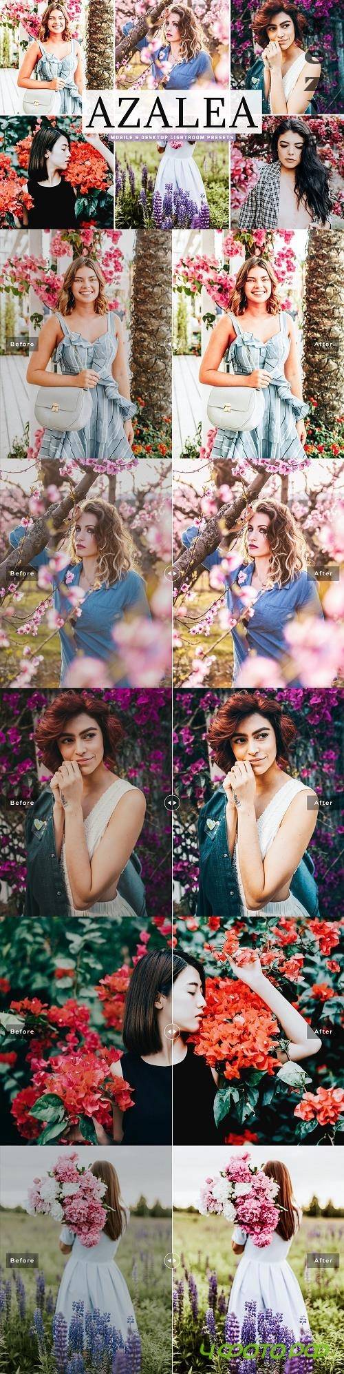 Azalea Lightroom Presets Pack - 4742189 - Mobile & Desktop Azalea Lightroom Presets Pack - 4742189 - Mobile & Desktop