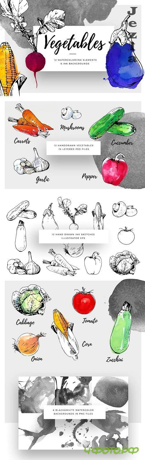 Ink Watercolour Vegetables - 778521 Ink Watercolour Vegetables - 778521
