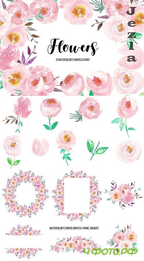 Watercolor Flower Peonies Clipart - 4746986