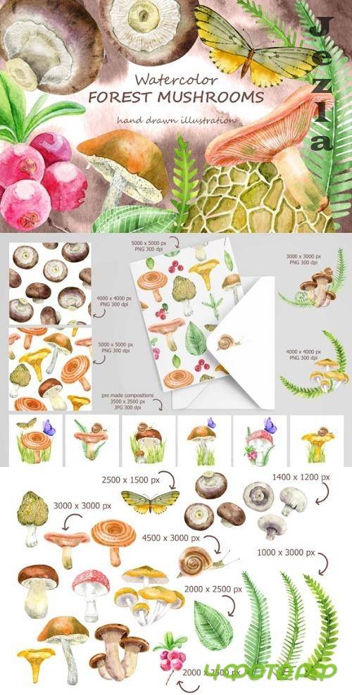 Forest Mushrooms