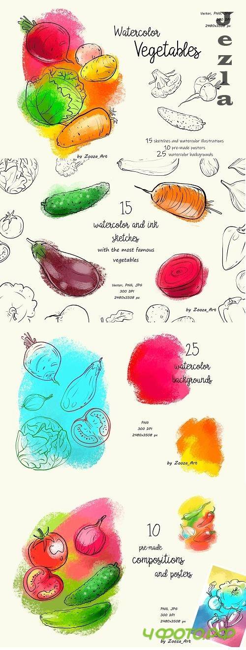 Watercolor handcrafted vegetables - 4803894