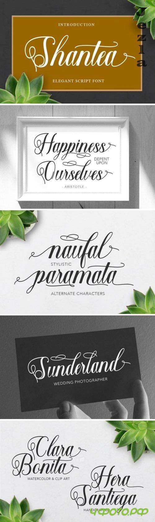 Shantea Font
