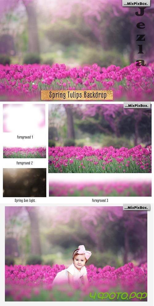 Spring Tulips Backdrop - 4685172