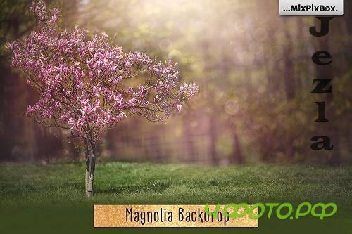Magnolia Backdrop - 4772016