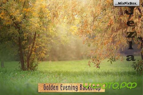 Golden Evening Backdrop - 4772024