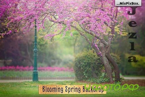 Blooming Spring Backdrop - 4772037