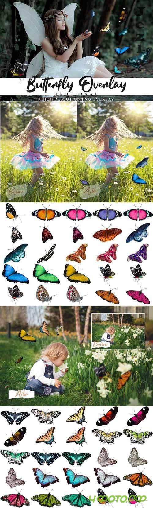 60 Butterflies Photo Overlays  - 557039