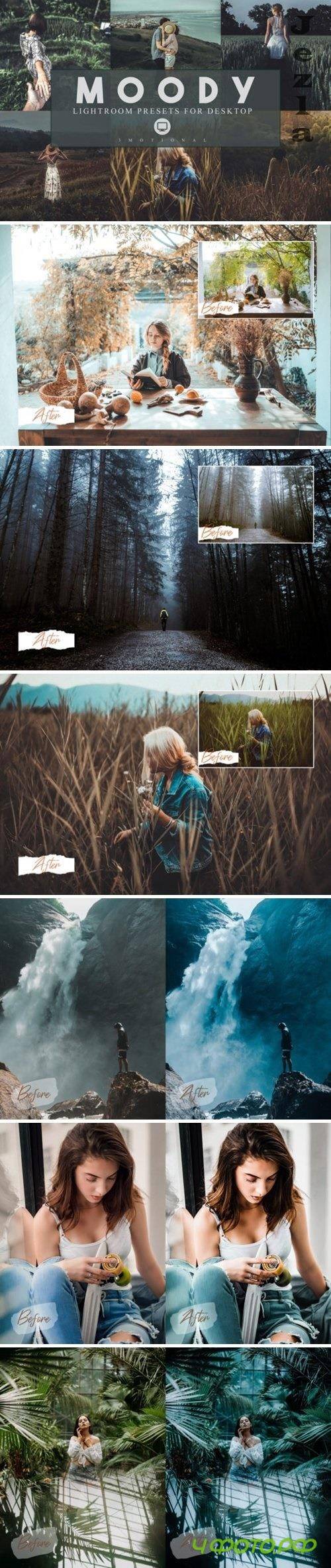 14 Moody Lightroom Presets, Instagram Blogger Photo Fi  - 558052