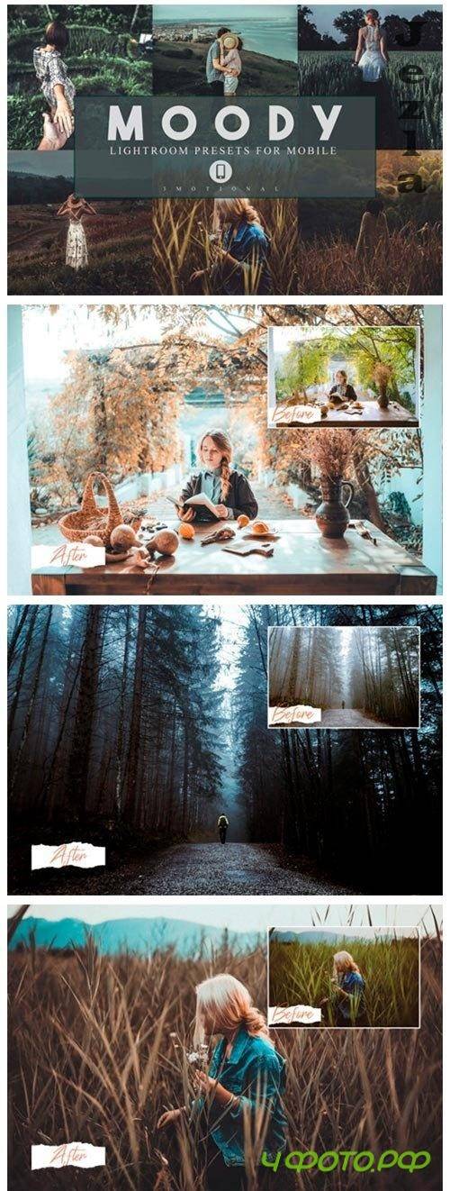14 Moody Mobile Lightroom Presets 3983765