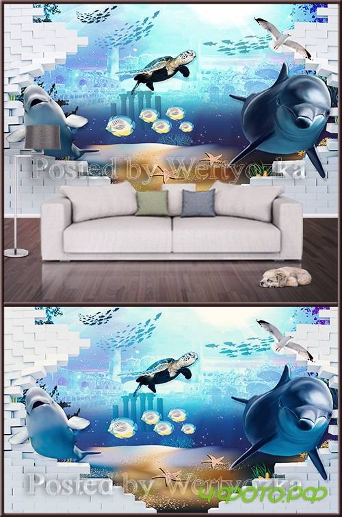 3D psd background wall sea world and dolphins